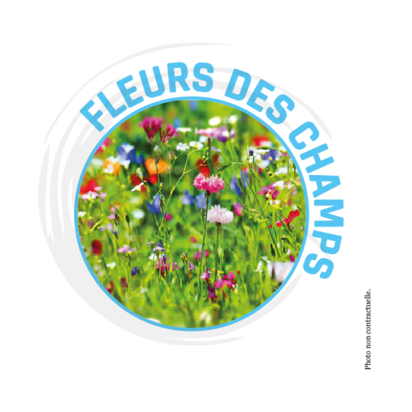 Désodorisant Fleurs des champs 750ml